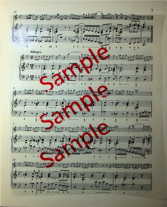 https://i.ebayimg.com/00/s/NzkwWDY0MA==/z/YWkAAOSw8FhgjBr6/$_10.JPG?set_id=880000500F